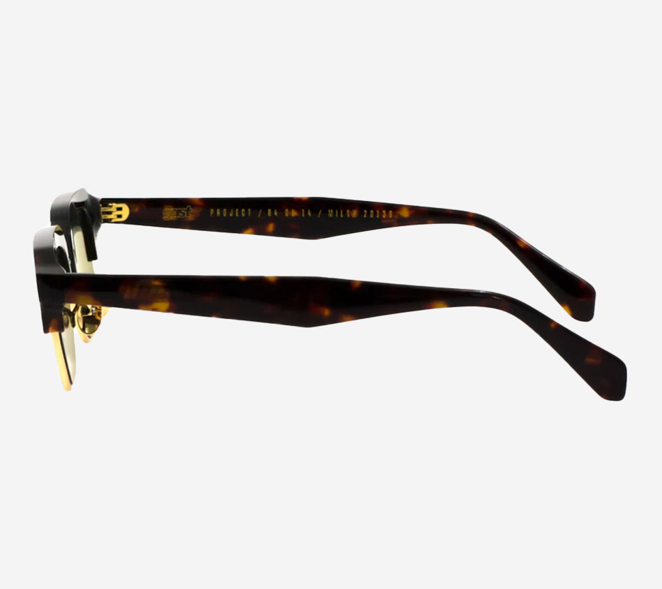 GAS-RAY GOLD HAVANA 49 20 145